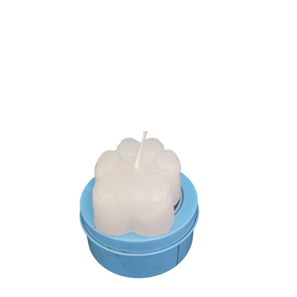 VELA PET - PATINHAS